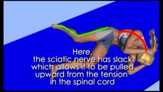 sciatic nerve flossing from Active Spine and Sport [upl. by Akinnor]