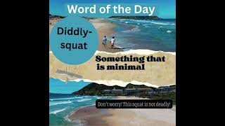 Diddly squat englishlearning language wordoftheday [upl. by Nylrehc164]