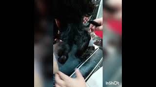 Mga hairdos ng mga kustomer in saloon [upl. by Gnel]