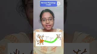 Nervous system  Saltatory Conduction in Tamil  2 mark [upl. by Yenal]