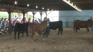 Chautauqua County Fair kicks off with a bang [upl. by Oeniri]