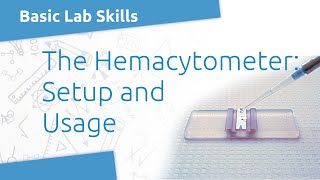 Lab Skills Hemacytometer Setup [upl. by Ahsyad770]