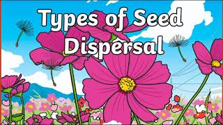 Types of Seed Dispersal Different types of seed dispersal [upl. by Noemis]