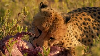 Fierce with Steve Backshall  Episode 5  Namibia  2016 HD [upl. by Ardehs336]