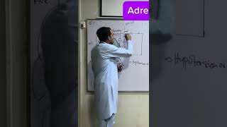 Adrenal gland Aldosterone Hormones neet chemistry science class nursinglecturewithimtiaz [upl. by Ambrosio457]