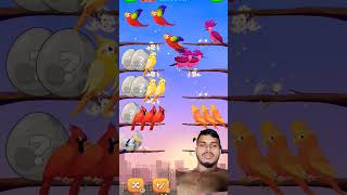 Viral ghazal cartoon video cartoon birds funny games animals shortsfeed humanity comedyfilms [upl. by Auhsoj208]