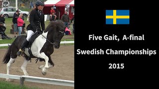 F1 Five Gait A Final Swedish Championships 2015 [upl. by Kazmirci743]