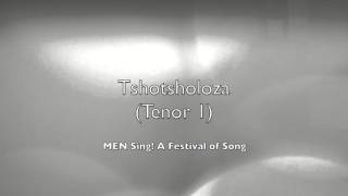 Tshotsholoza Tenor 1 [upl. by Lora]