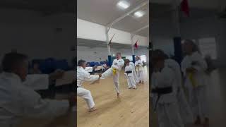 Gold Coast TaeKwonDo Classes for Juniors [upl. by Orr169]