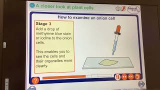 KS4GCSEBiologyCells Microscope practical [upl. by Canica]