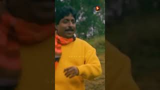 Olachangaali  Kinnarippuzhayoram Movie Song  Sreenivasan  MG Sreekumar KS Chithra [upl. by Magna184]