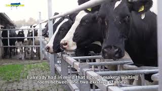 MobiStar Swing flexible Dairymaster milking parlour  De Lange The Netherlands [upl. by Gerry]