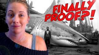 Megalodon Fact VS Fiction Marine Biologist Shows the Evidence [upl. by Norbel]