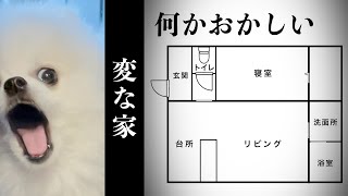 【変な家】自分が住む家の異常さに気づいてしまったポメラニアン [upl. by Nicole]