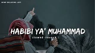 Habibi Ya Muhammad✨ slowed reverb Beautiful Nasheed Naat l Lofi Version l Mind Relaxing Naat [upl. by Jarvey]