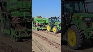 John Deere 6R 150 AVR Spirit 9200 😎 tractor agriculture farming landwirtschaft Koelhuis Kielstra [upl. by Dadivitan]