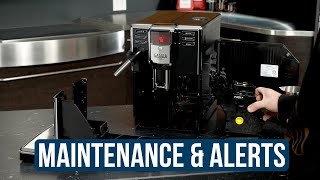 How to Maintenance amp Alerts on the Gaggia Anima Espresso Machines [upl. by Nore]