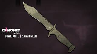 CSGO  Bowie Knife  Safari Mesh [upl. by Home]