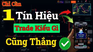 Trade Bo  Tín Hiệu Trade Kiểu Gì Cũng Thắng Bạn Đã Biết [upl. by Werdnael739]