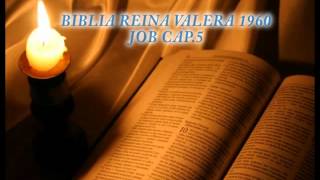 Biblia HabladaBIBLIA REINA VALERA 1960 JOB CAP 5 [upl. by Genet]