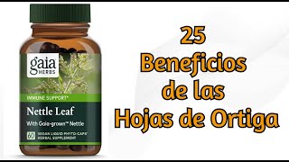 Hojas de Ortiga 23 Beneficios para la Salud [upl. by Naved]