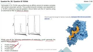 pyq CSIR NET JUNE 2024 MOR P5 [upl. by Rinaldo]