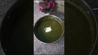 PALAK METHI ka SAAG methi palak saag palak methi recipe food cooking trending tastyfood yt [upl. by Ziul822]