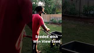 40 Day Lawn Transformation lawncare grass lawn gardening renovation [upl. by Nnyleimaj]