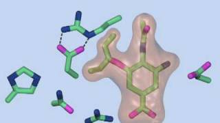 Mechanism of Resistance to Oseltamivir [upl. by Eyssej]