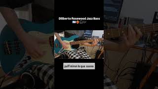 Diliberto Rosewood Jazz Bass Review [upl. by Haiasi368]