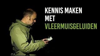 Kennis maken met vleermuisgeluiden [upl. by Arondell]