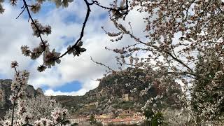 Rutas por Burgos  Poza de la Sal  Almendros 🌸 [upl. by Jonas142]