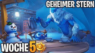 GEHEIMER Battle Pass Stern in Woche 5 ⭐ 1 Bonus Level  Season 7  Fortnite Battle Royale  Detu [upl. by Suiremed]