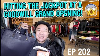 Hitting the Jackpot at a Goodwill Grand Opening Trip to the Thrift Ep 202 [upl. by Boland]