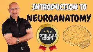 Intro to Neuroanatomy  Neurophysiology  Neuroscience  Central Nervous System [upl. by Belva]