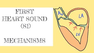 First heart sound S1 [upl. by Cote]