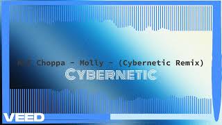 NLE Choppa  Molly  Cybernetic Remix [upl. by Vincents]