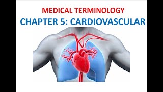 Language of Medicine Medical Terminology Chapter 11 Flashcards  Cardiovascular System [upl. by Atlas]