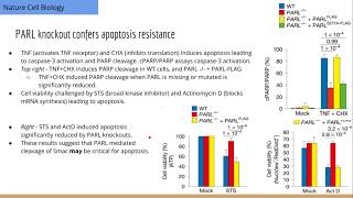 PARL mediates Smac cleavage during apoptosis [upl. by Arracot]