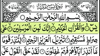 Surah Yaseen سورہ یس  Tilawat Full With Arabic Beautiful Tilawat ‎surahyaseen surahrahman 2025 [upl. by Woo776]