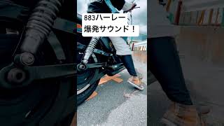 ハーレー883の爆発サウンド！ harleydavidson ハーレーダビッドソン motorcycle [upl. by Bernardi]