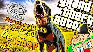 GTA5  SURVIVRE DANS LA PEAU DUN PNJ 5  JE ME TRANSFORME EN CHOP  TROLL  FUN [upl. by Trust822]