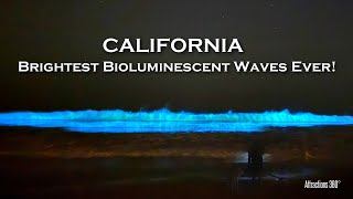 Stunning Bioluminescent Waves Light Up Californias Coast GLOWING Neon Waves of the Ocean [upl. by Franci]