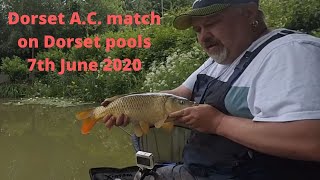 Dorset pools A C club fishing match 7th June 2020 [upl. by Lienad]