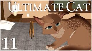 Preparing for Caffeinated Kittens • Ultimate Cat Simulator  Episode 11 [upl. by Baumbaugh]