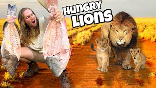 FEEDING MASSIVE FISH TO LIONS  BIG CATS LIKE FISH [upl. by Bate]