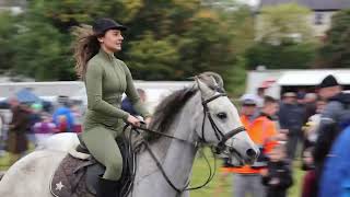 How to Pet a Horse at Ballinasloe Horse Fair [upl. by Nsaj777]