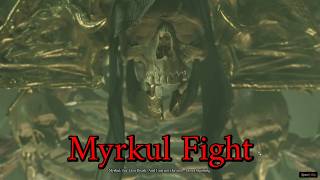 How I Defeated Myrkul Lord of Bones Honour Mode [upl. by Elitnahc]