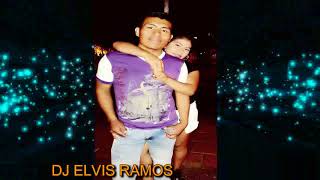 LOS HERMANOS MEZA MIX 2018 DJ ELVIS [upl. by Ycrem700]