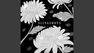 Slingshots [upl. by Annawaj]